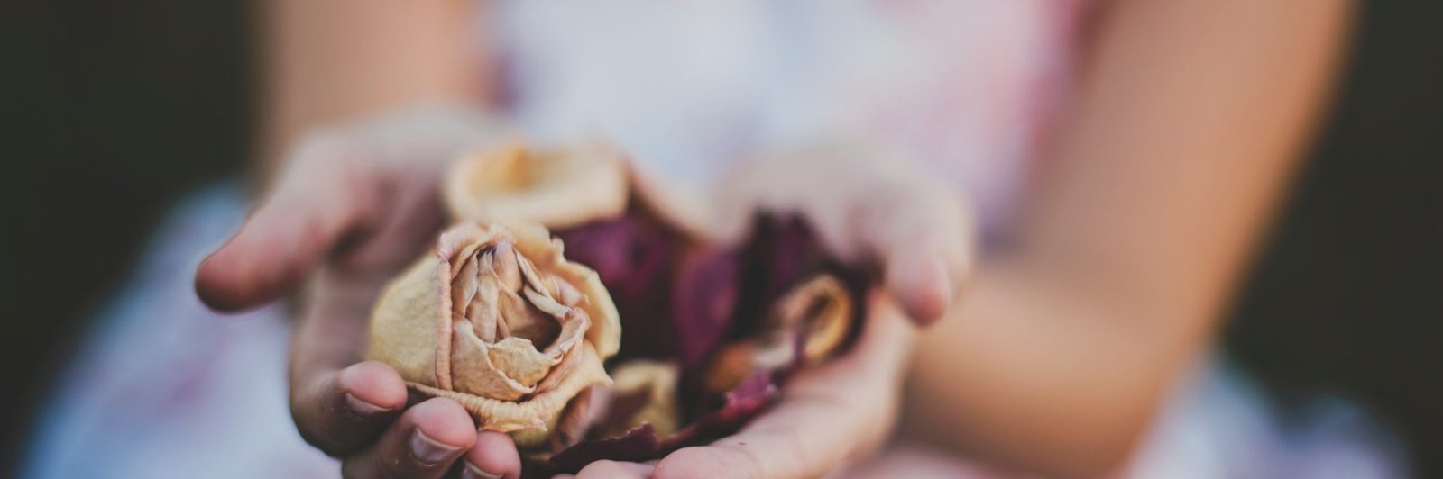 katherine-hanlon-roY7Lf1Zxl8-unsplash